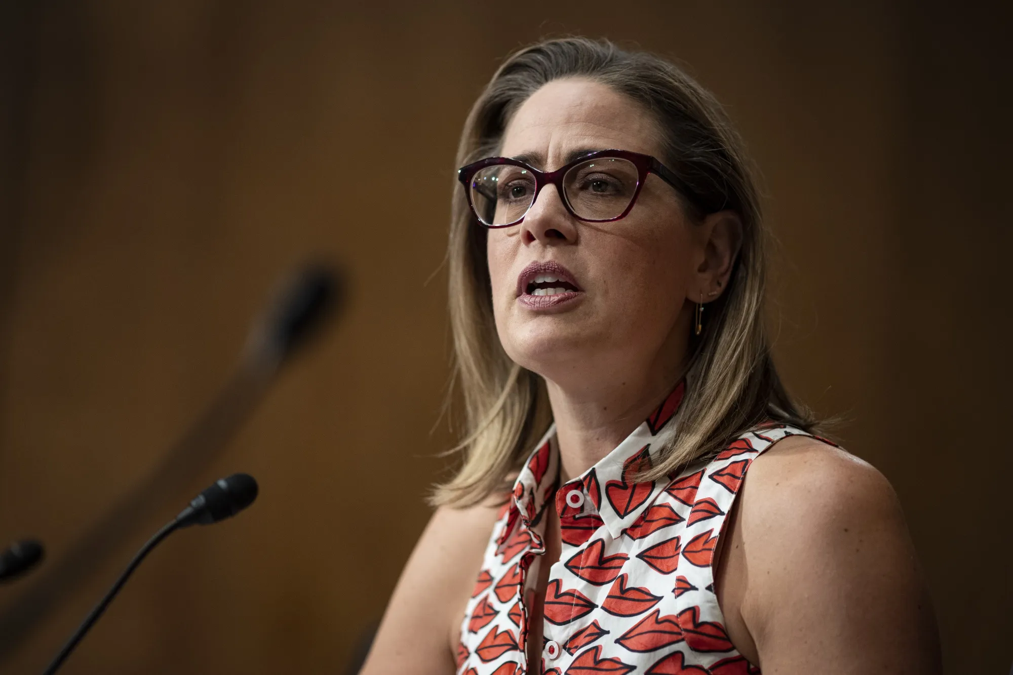 Kyrsten Sinema&nbsp;