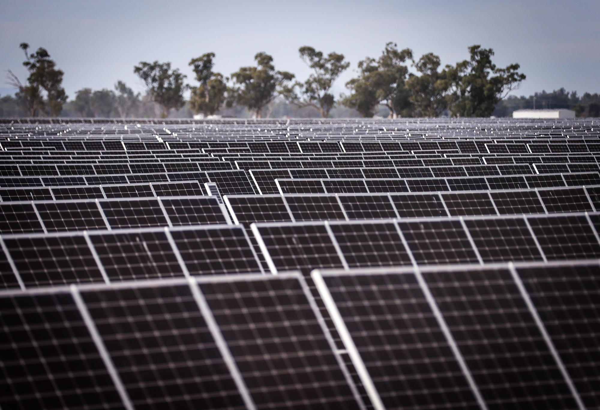 Solar Farm As Australians Favor Clean Energy Over Gas for Economic Revival
