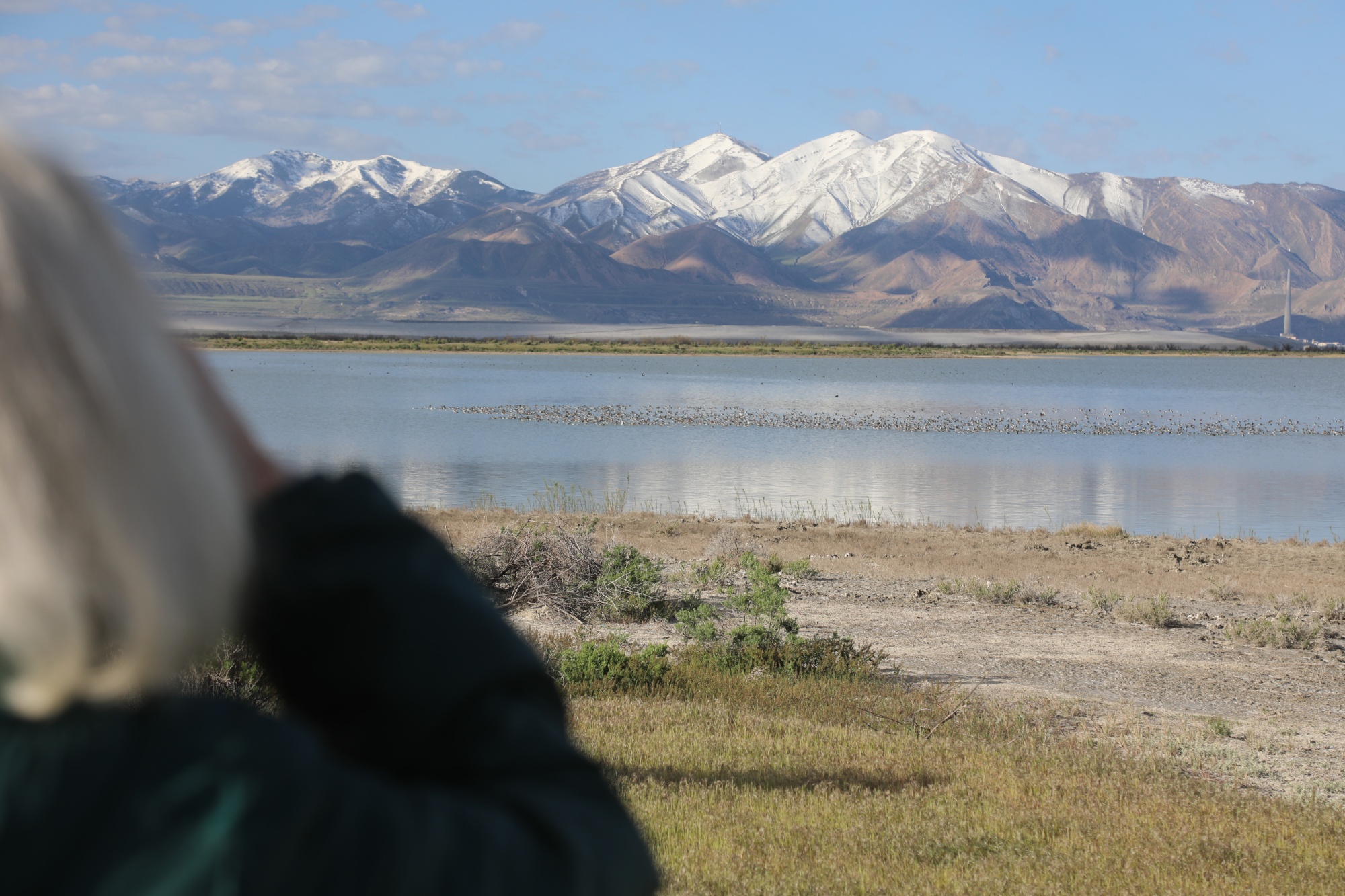Ella Sorensen surveys the retreating waters of the Great Salt Lake at Audubon’s Gillmor Sanctuary near Salt Lake City.&nbsp;