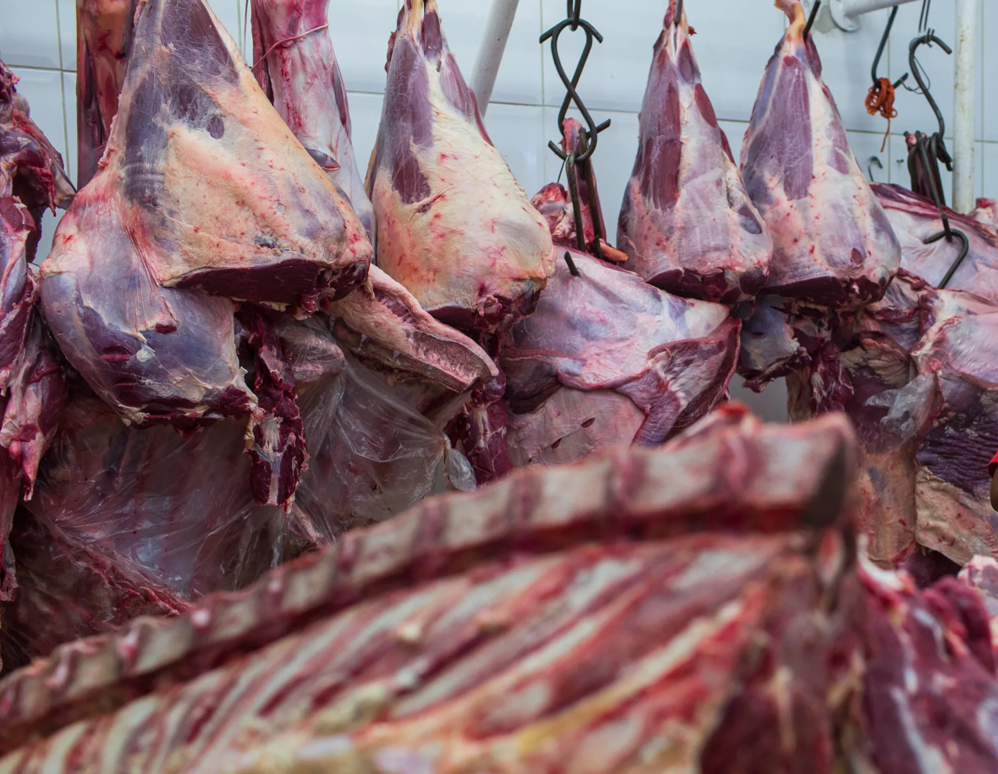 Brazil's Latest Scandal: Bribes, Acid and Tainted Meat Exports