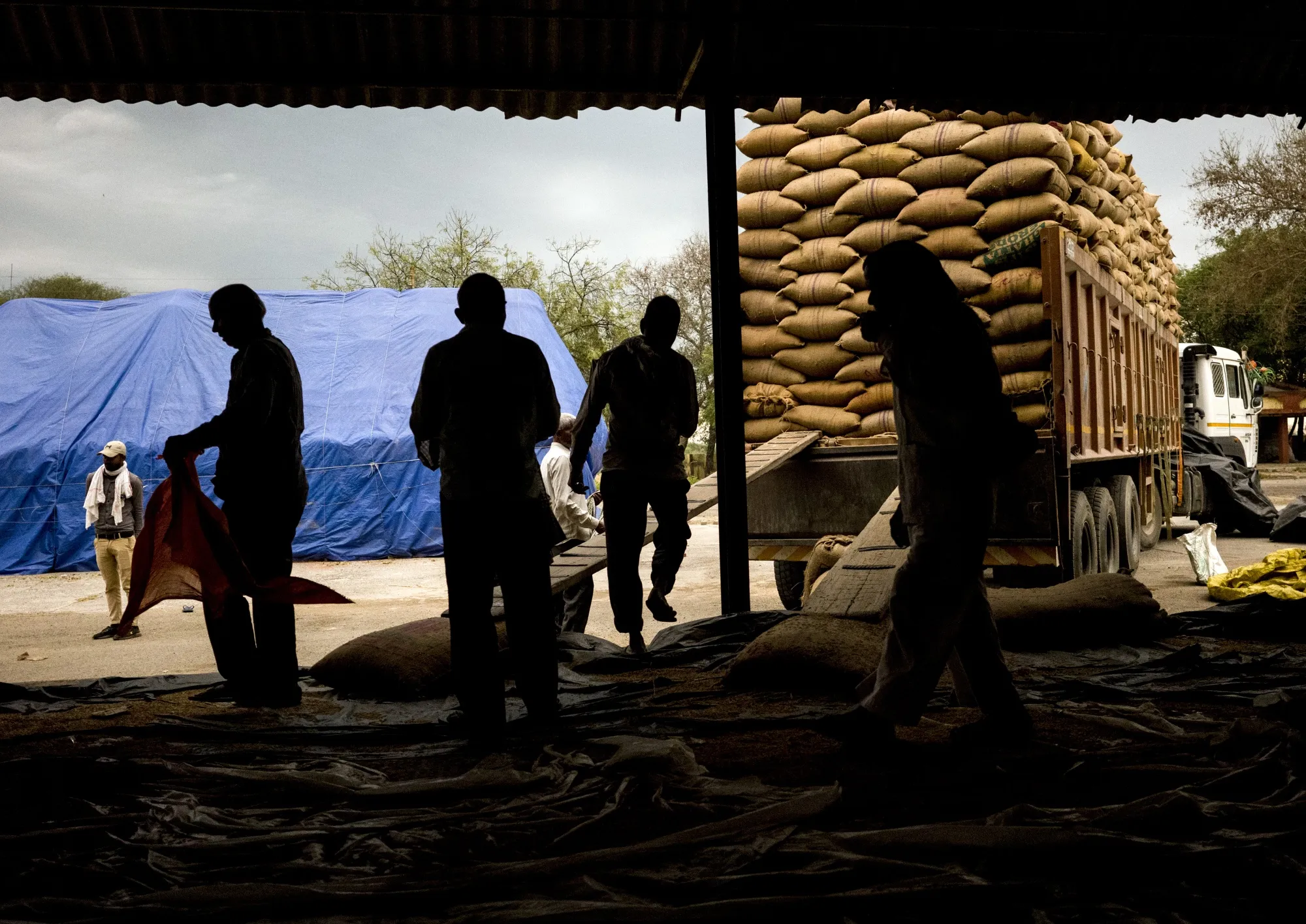 Workers load sacks of paddy rice at a wholesale grain market in&nbsp;Uttar Pradesh, India.