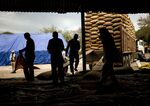 Workers load sacks of paddy rice at a wholesale grain market in Uttar Pradesh, India.