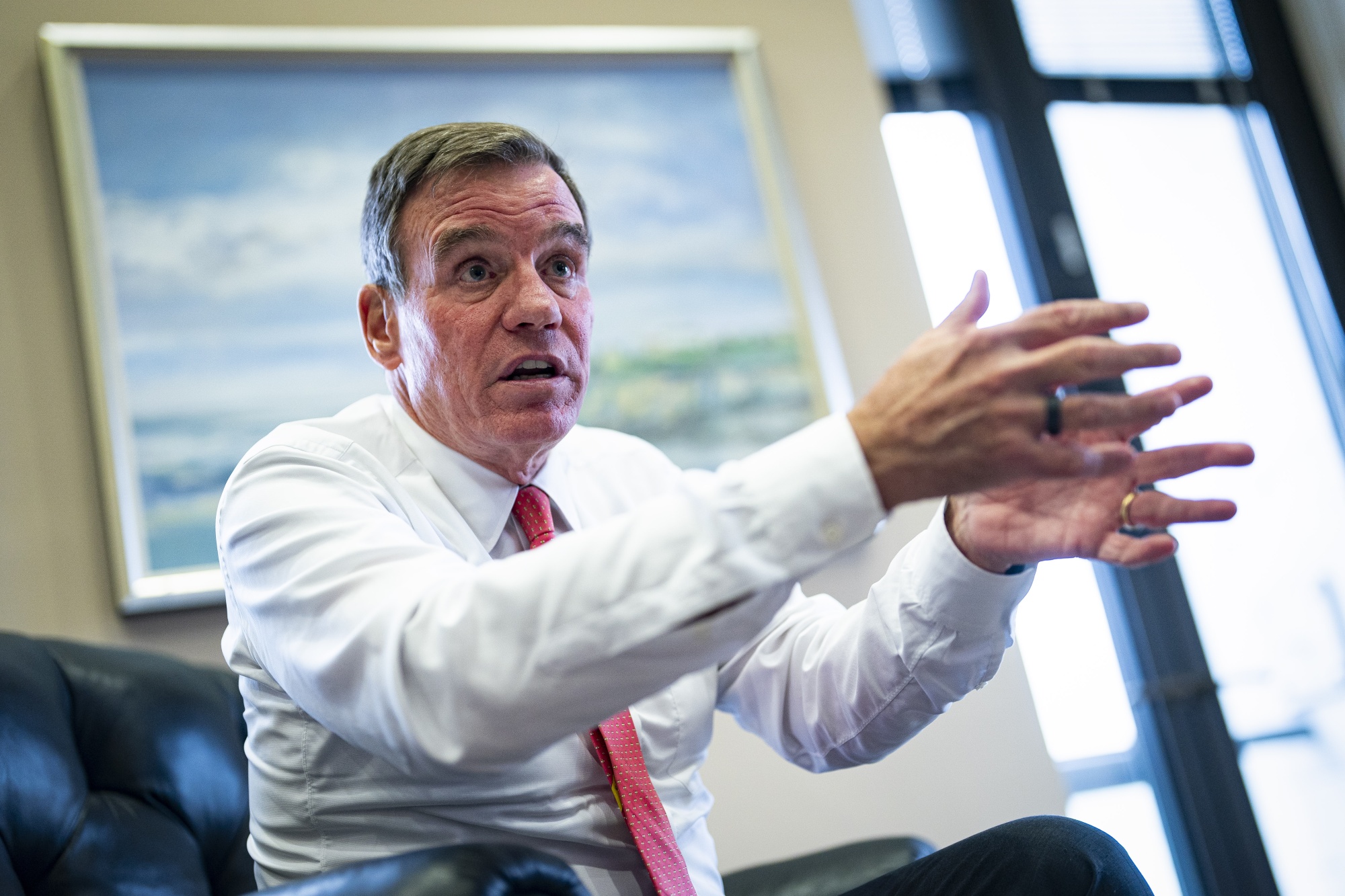 US Senator Mark Warner Calls China Scrutiny of Ford’s Battery Deal ...