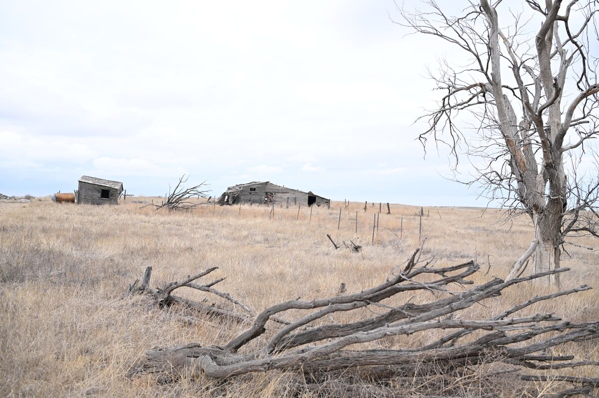 The US Is Getting a Disaster Salad With Dust Bowl Dressing