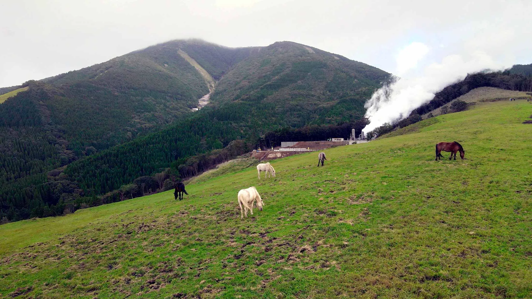 The first commercial geothermal plant being built by&nbsp;Machiokoshi Energy, in the Oguni&nbsp;geothermal field on the southern Japanese island of Kyushu.