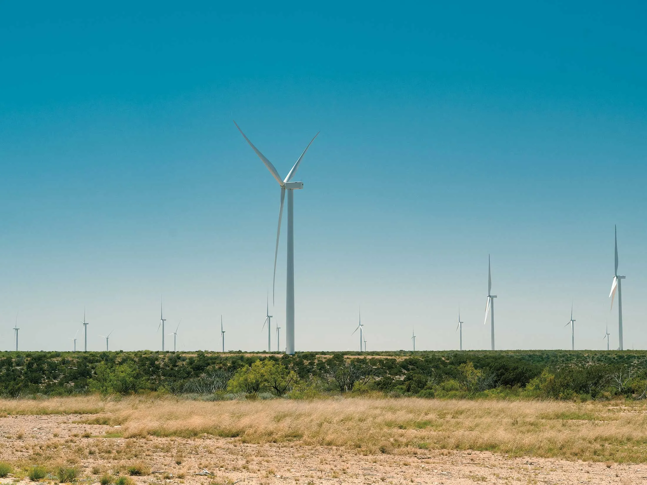 Oil-Rich University of Texas Wants to Cash in on AI, Solar, Wind, Crypto -  Bloomberg