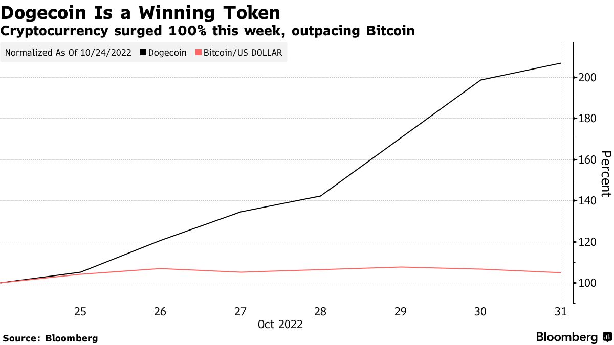 Crypto News: Meme Coins Make a Comeback on the Return of the Bulls