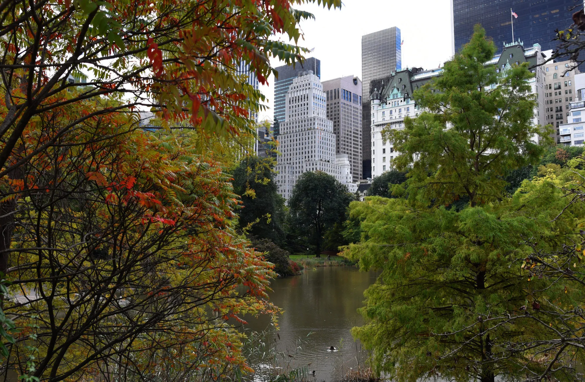 Central Park on Oct. 30.