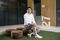Line Corp. Founder Shin Joong-ho Interview