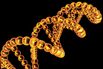 Genome Sequencing's Affordable, and Frightful, Future