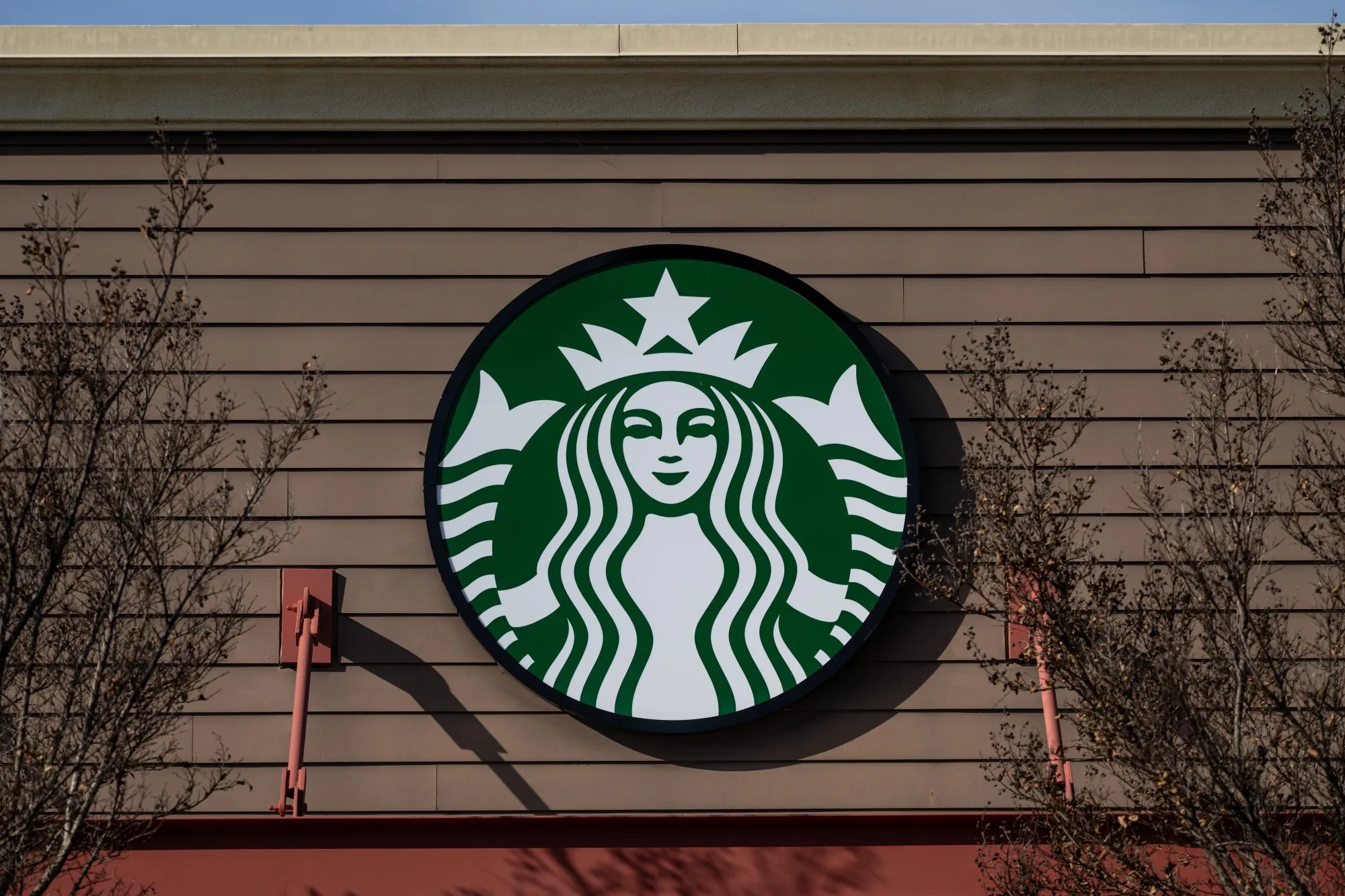 Starbucks Can Double Its Store Count Outside of the US, CEO Says