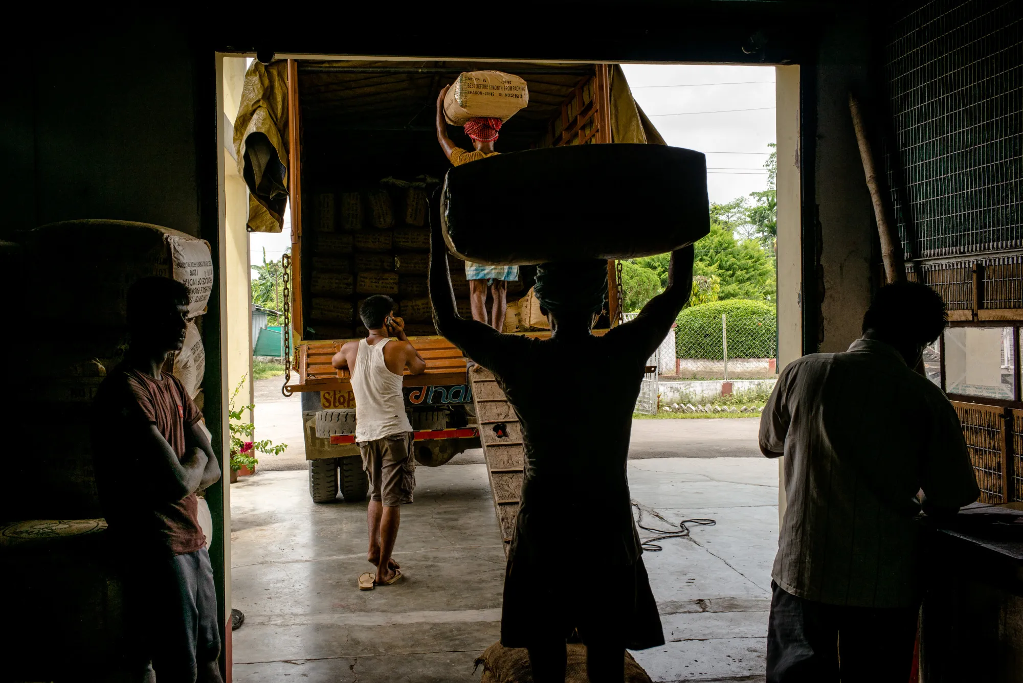 Workers carry bags of tea on their heads while loading a truck at a Tea Estate in Assam, India.