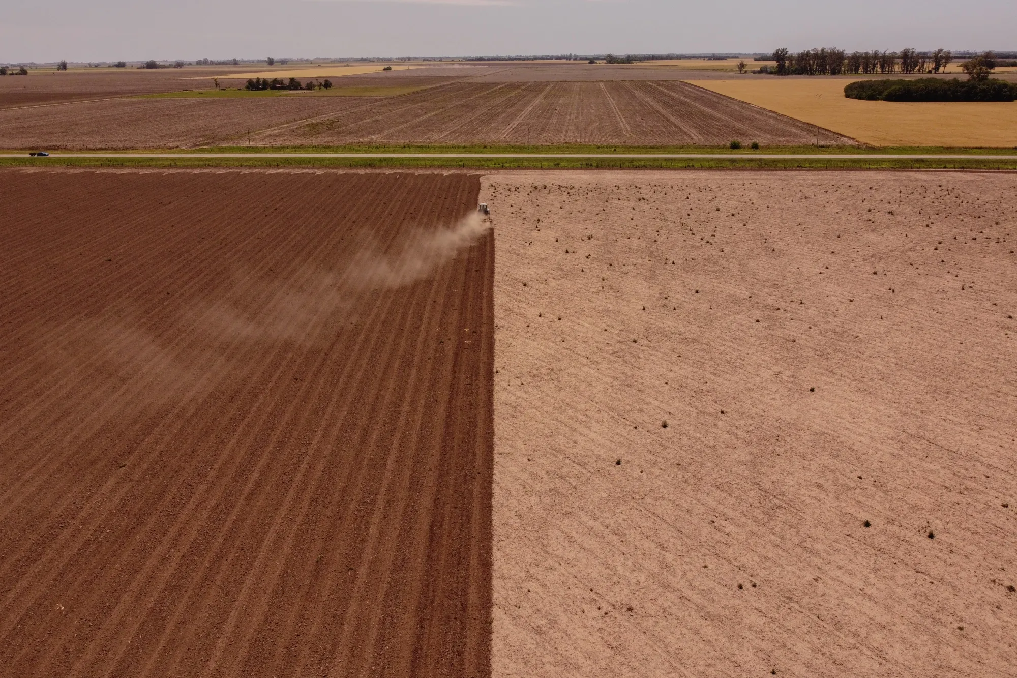 A farmer prepares a field for planting soybeans in the town of Serodino, Santa Fe province, Argentina, on Thursday, Nov. 9, 2023. 
