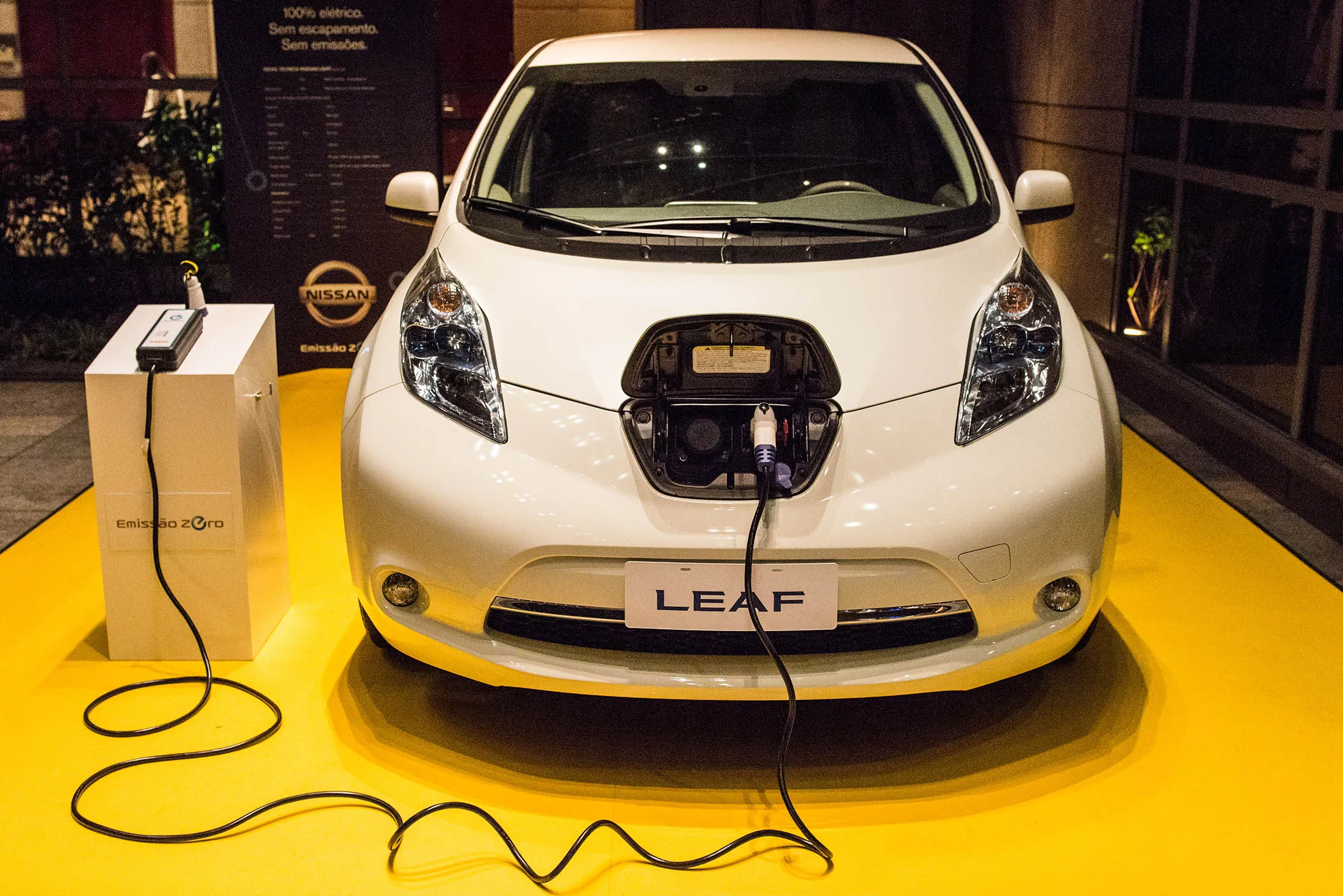 Nissan's Leaf.

