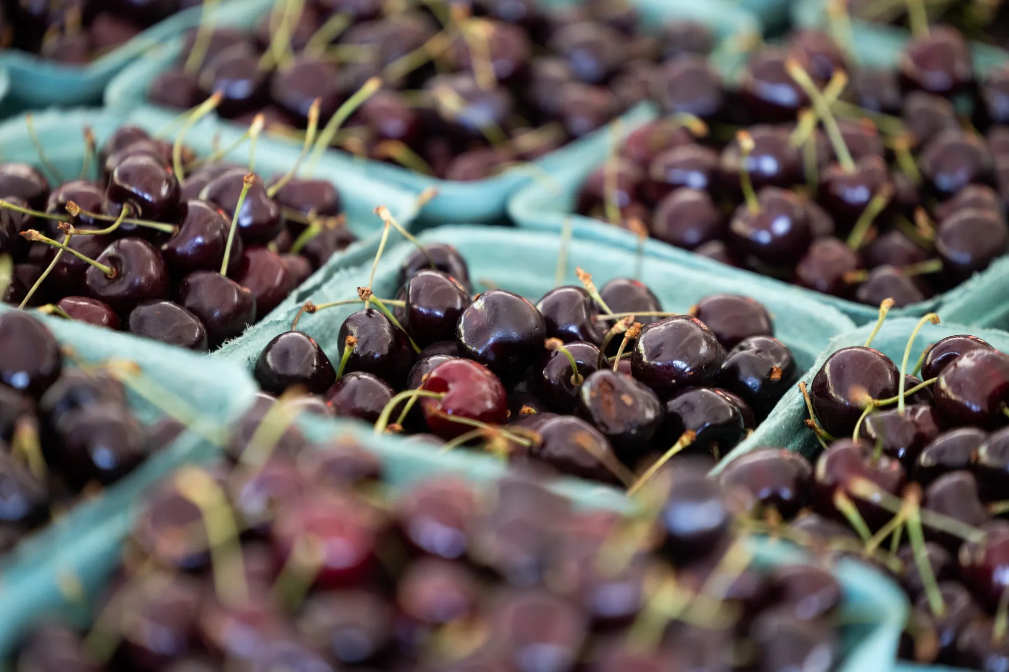 Gene-Editing Technology Is Set to Create a Pitless Cherry - Bloomberg