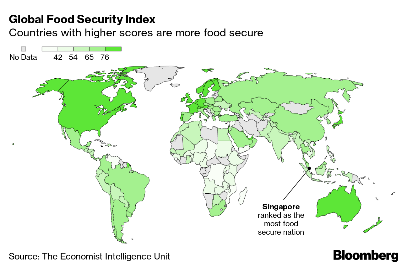 What It Will Take to Avoid a Global Food Shortage
