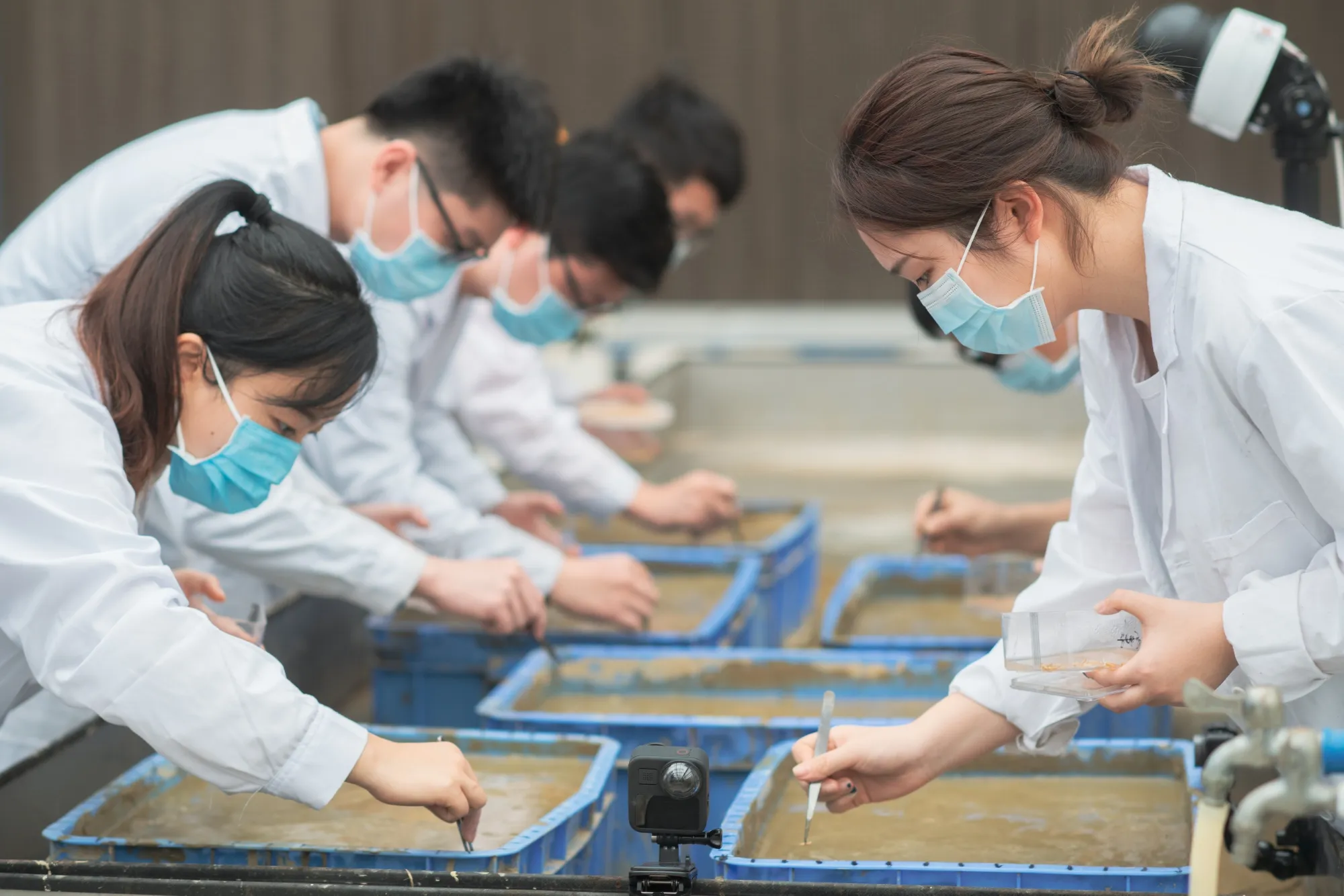 Researchers plant rice seeds, which traveled to the moon onboard the Chang'e 5 lunar probe, in Guangzhou, Feb. 2021.