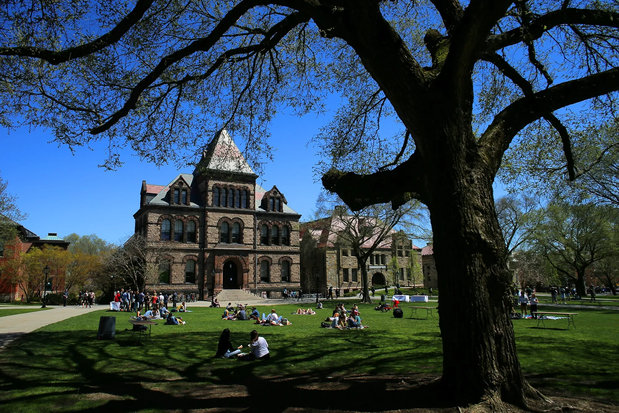 The Brown University campus in Providence, Rhode Island, in 2019.