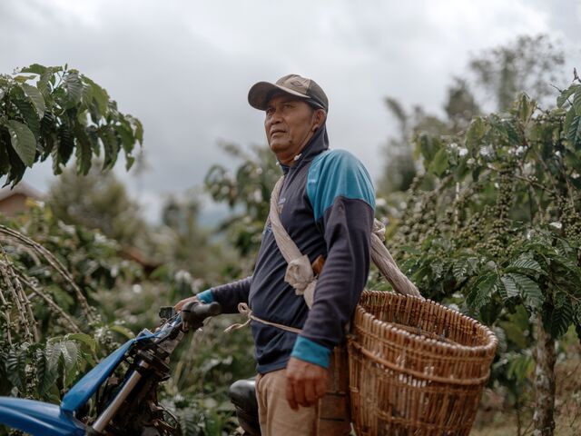 Coffee famer Hermanto on his farm.