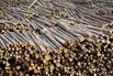 West Fraser Timber Facility As Lumber Industry Rises