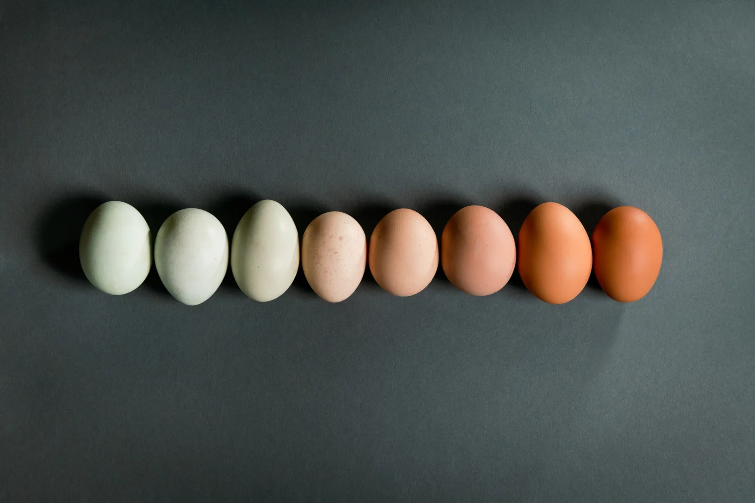 There’s a world of fancy eggs if you want them.