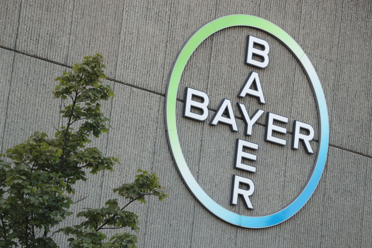 Activist investor Bluebell Capital builds stake in Bayer AG, pushes for  breakup reports Bloomberg