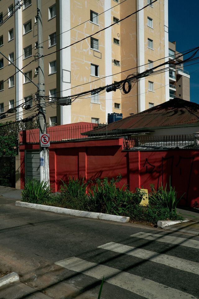 A small rain garden on Uvaias Street, Vila da Saúde neighborhood, São Paulo.