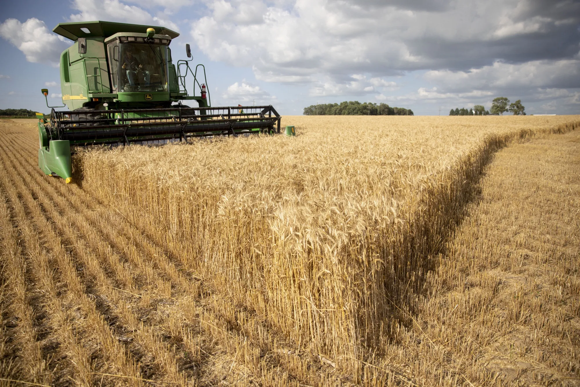Chinese Buyers Seek Tariff Exemptions for U.S. Farm Goods - Bloomberg