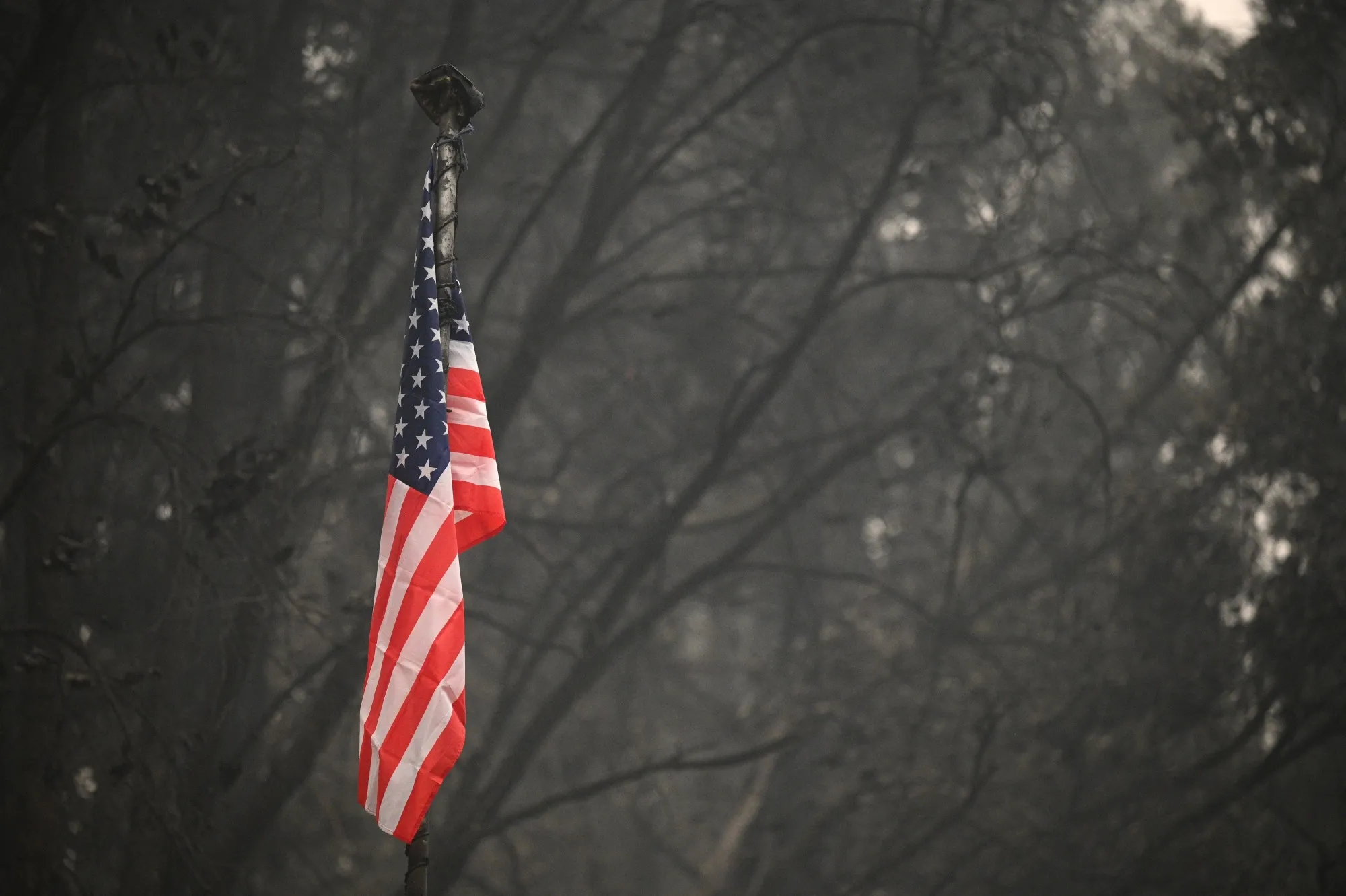 An American flag flies over a property burned in the Dixie Fire in the Indian Falls area of Plumas County, California on July 26, 2021.