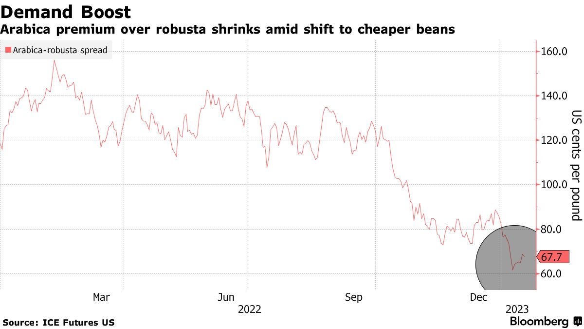 Conillon highs worry Brazilian coffee industry - SAFRAS & Mercado