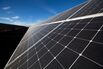 Photovoltaic cells are arranged on solar panels