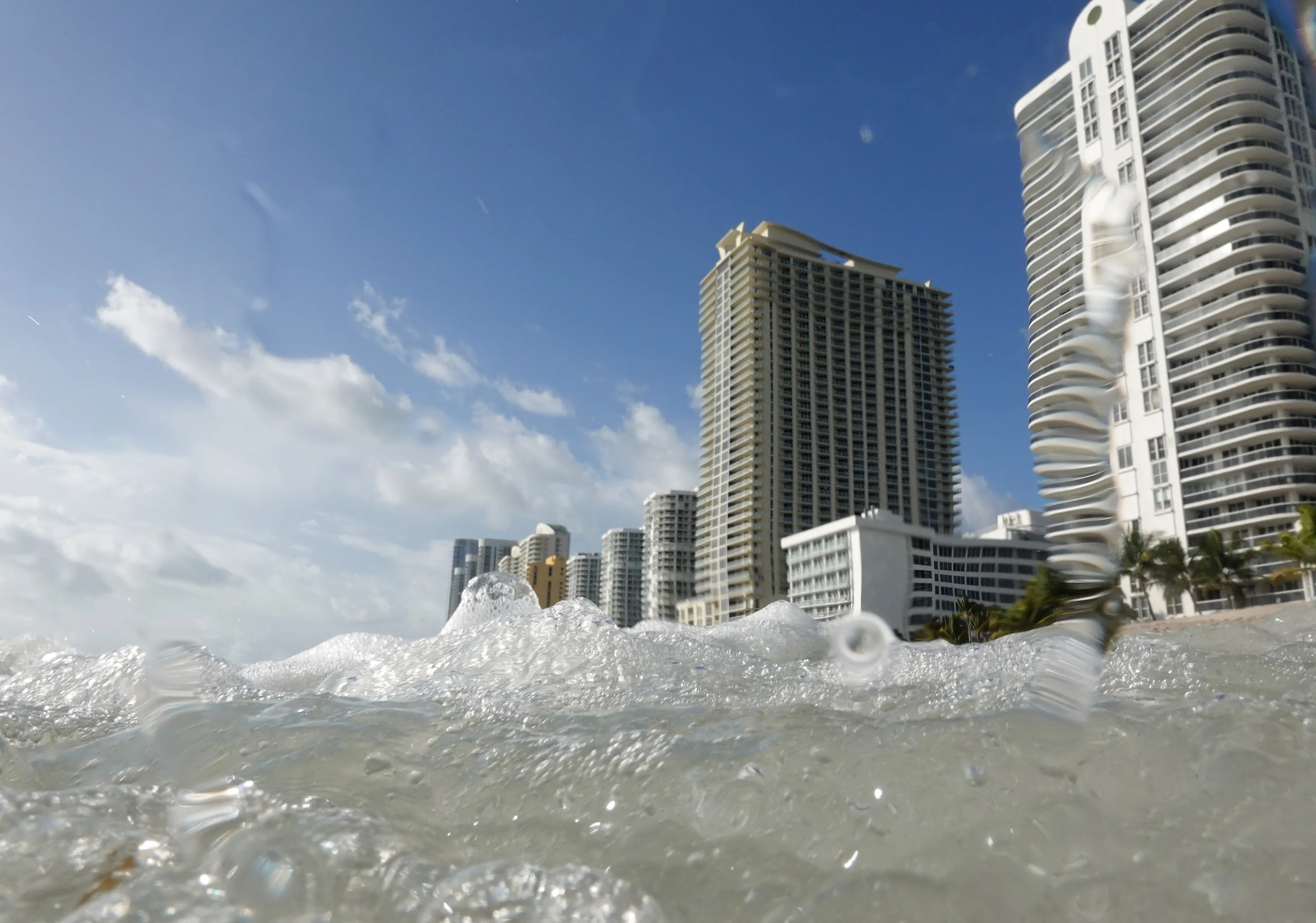 The sea is expected to rise an average of 10 to 12 inches by 2050.&nbsp;