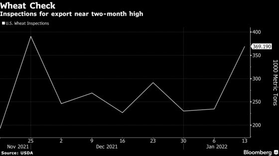 Wheat Rebounds on Bargain Shopping and Signs of Stronger Demand