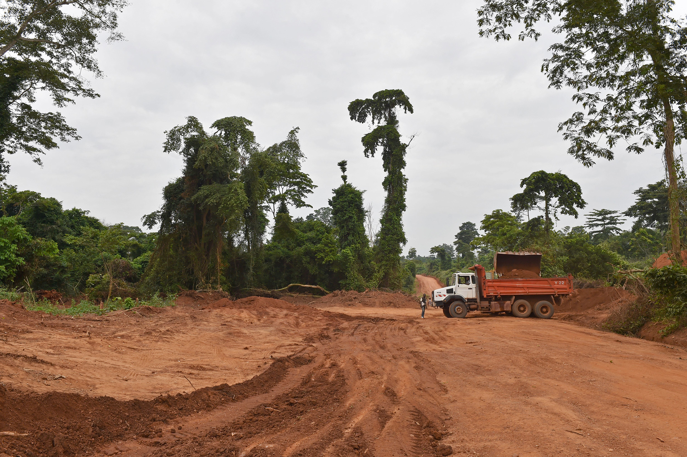 Ivory Coast to Spend $1.1b to Rehabilitate Country's Forests - Bloomberg