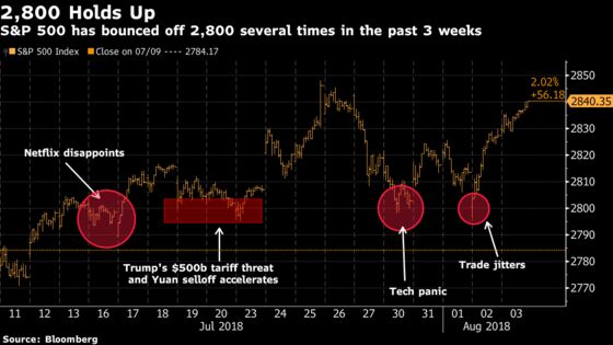 Talking Your Book in This Market Is Getting Easier: Taking Stock