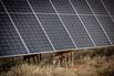 ADIA, OTPP Are Said to Weigh Sale of Asian Renewables Firm Equis