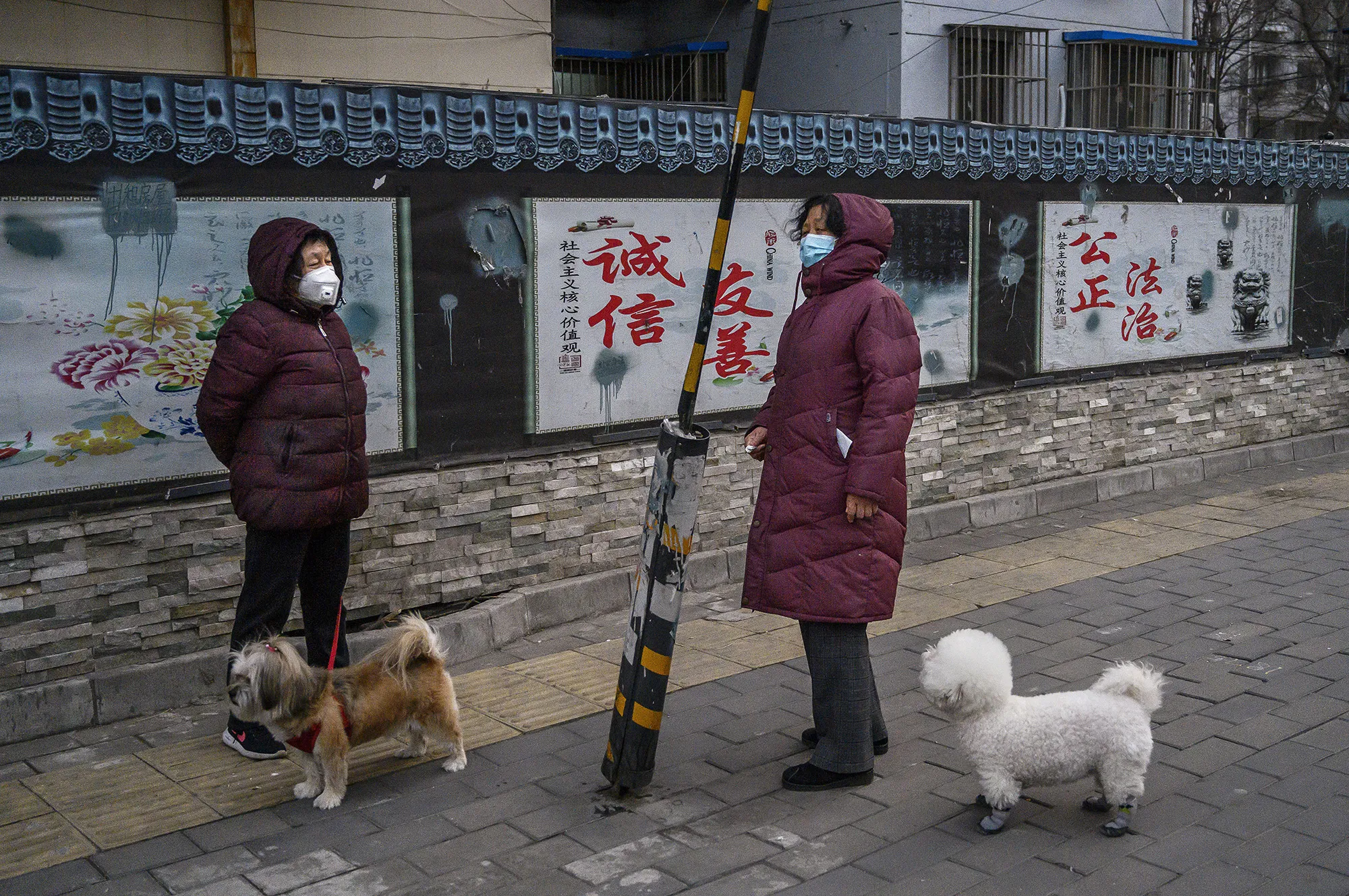 Women&nbsp;chat while walking their dogs&nbsp;in Beijing on Feb. 25.