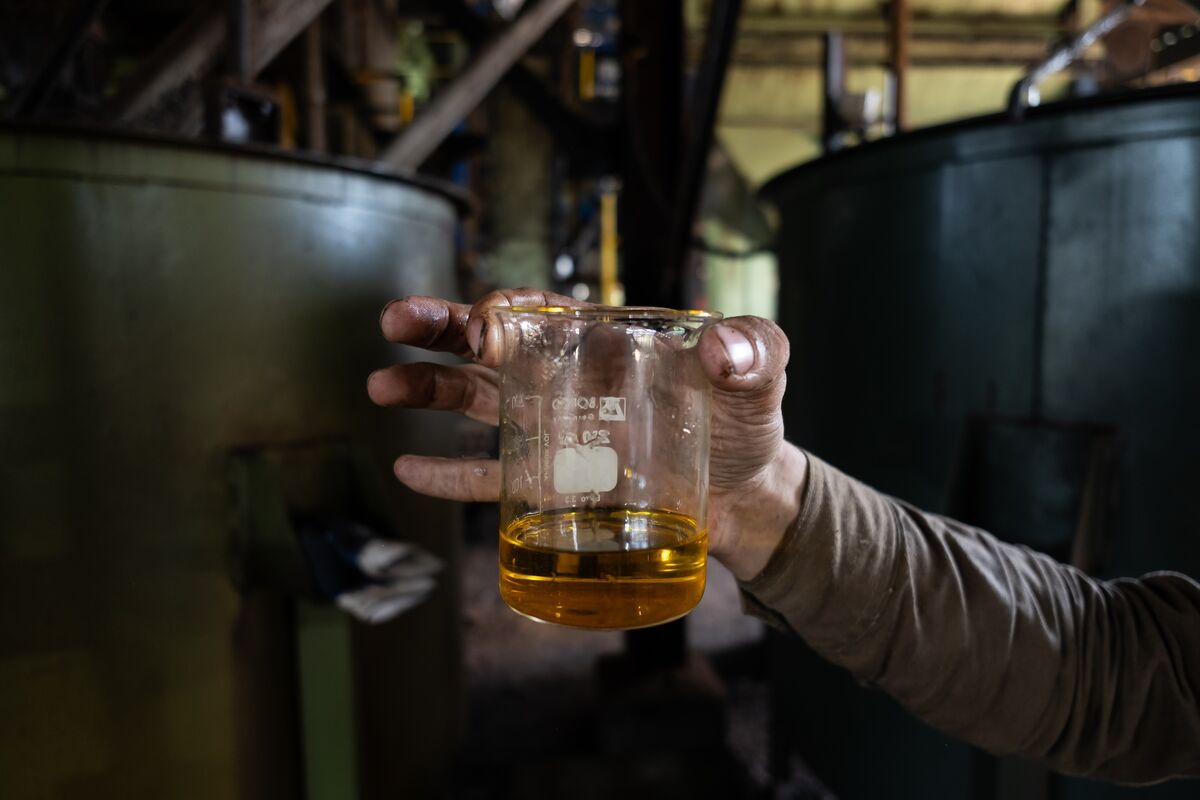 India Slashes Edible-Oil Duties to Reduce Festival Food Costs