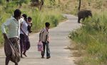 In Sri Lanka, elephants and humans are sharing more spaces as the animals' territory dwindles.