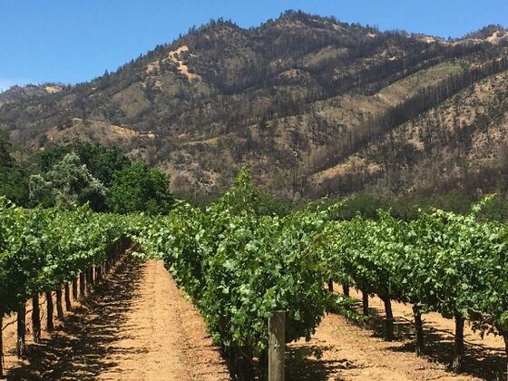 The Burning Question for California Wine Country