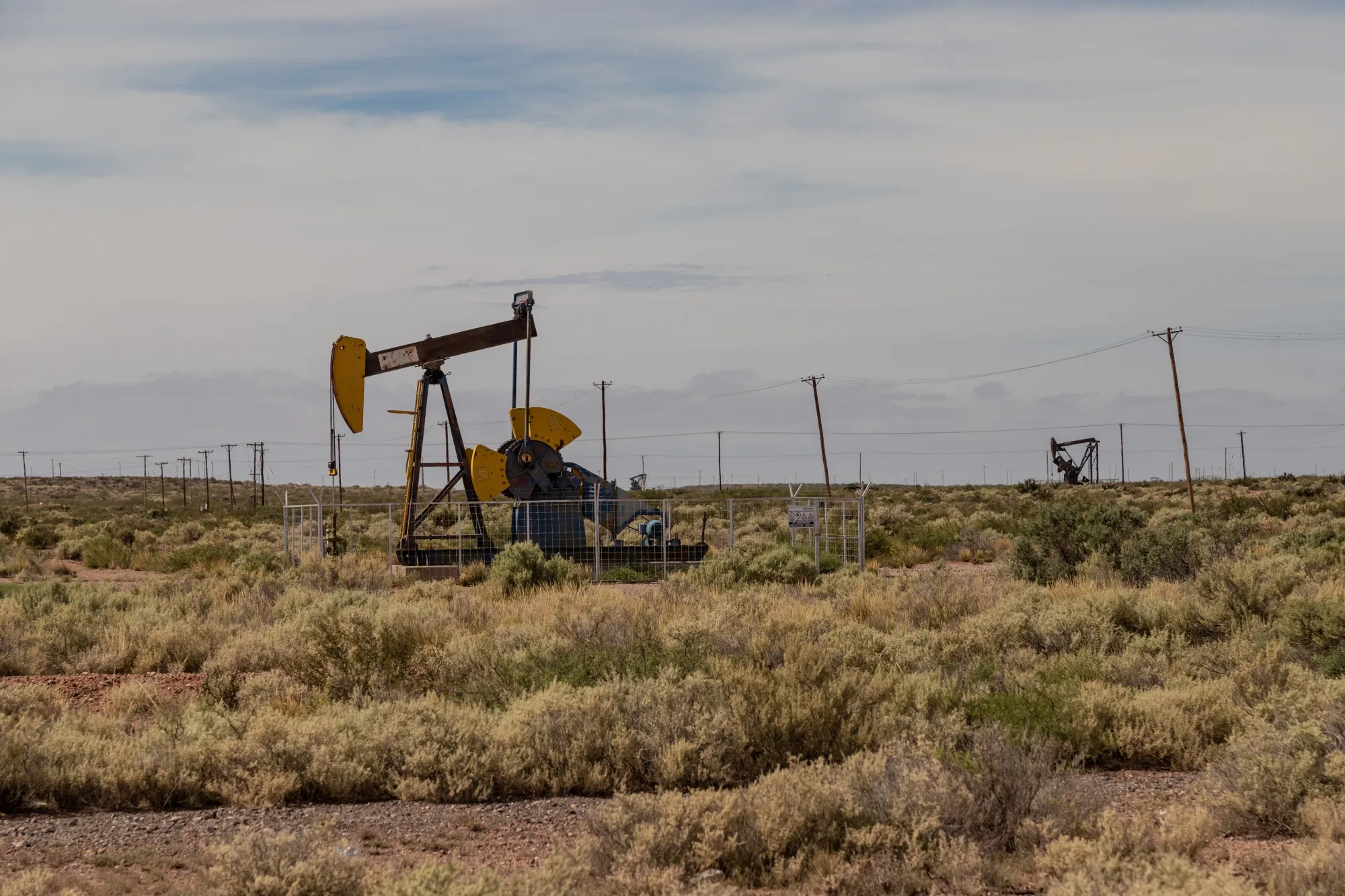 Pump jacks in Neuquen province, Argentina, home of the Vaca Muerta shale formation.