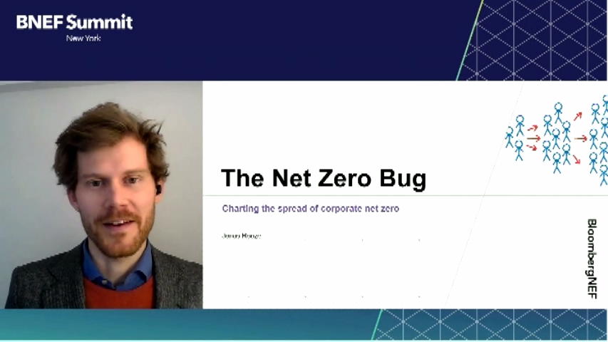 Watch BNEF Talk: The Corporate Net-Zero Bug - Bloomberg