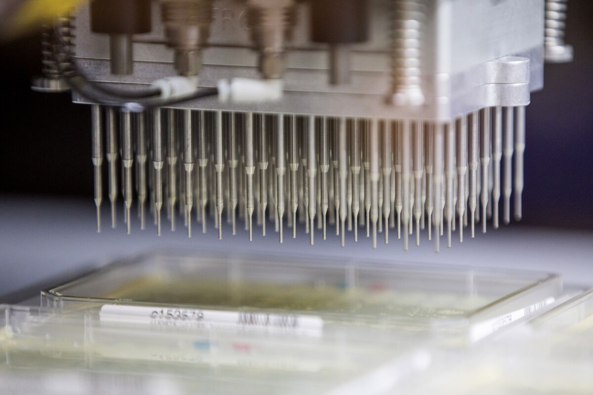 Synthetic Bio Pioneer Ginkgo Raises 70 Million to Tackle Covid19