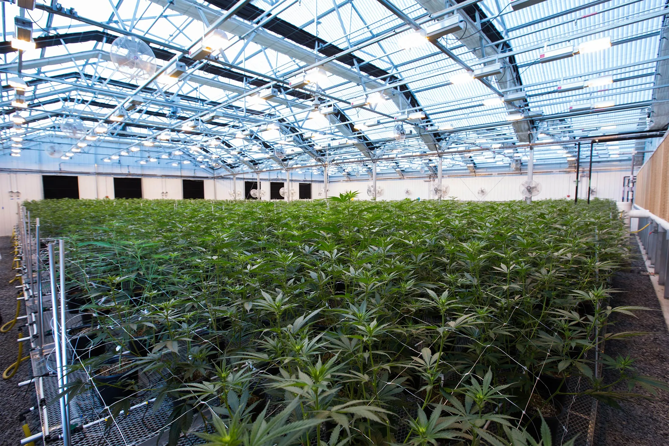 A PharmaCann LLC growing facility in Hamptonburgh, New York.