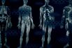 How Cancer-Linked ‘Forever Chemicals’ Got Inside Everyone