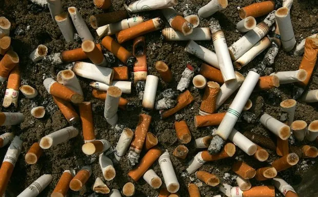 red camel cigarettes FDA Orders Cigarette Company to End Sales of Four Products red camel cigarettes FDA Orders Cigarette Company to End Sales of Four Products