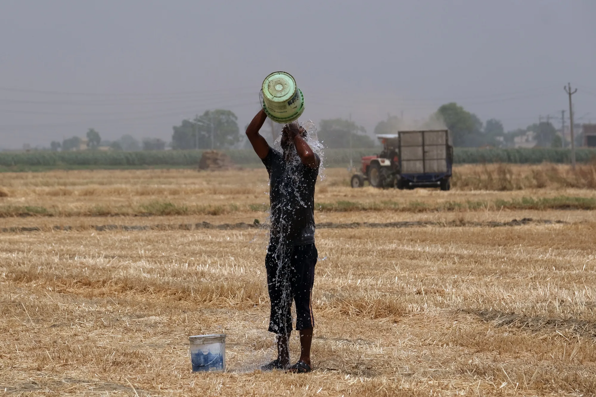 A farmer cools off while working at a wheat farm in Punjab&nbsp;on May 1.