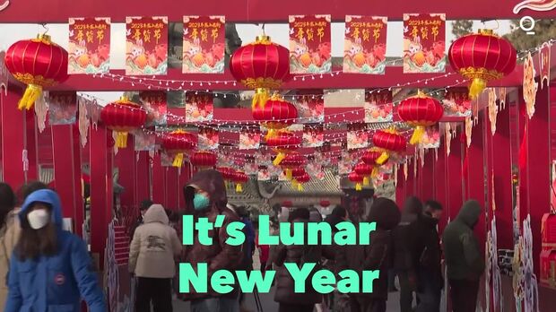 Chinese New Year VS Lunar New Year: Differences and Controversies