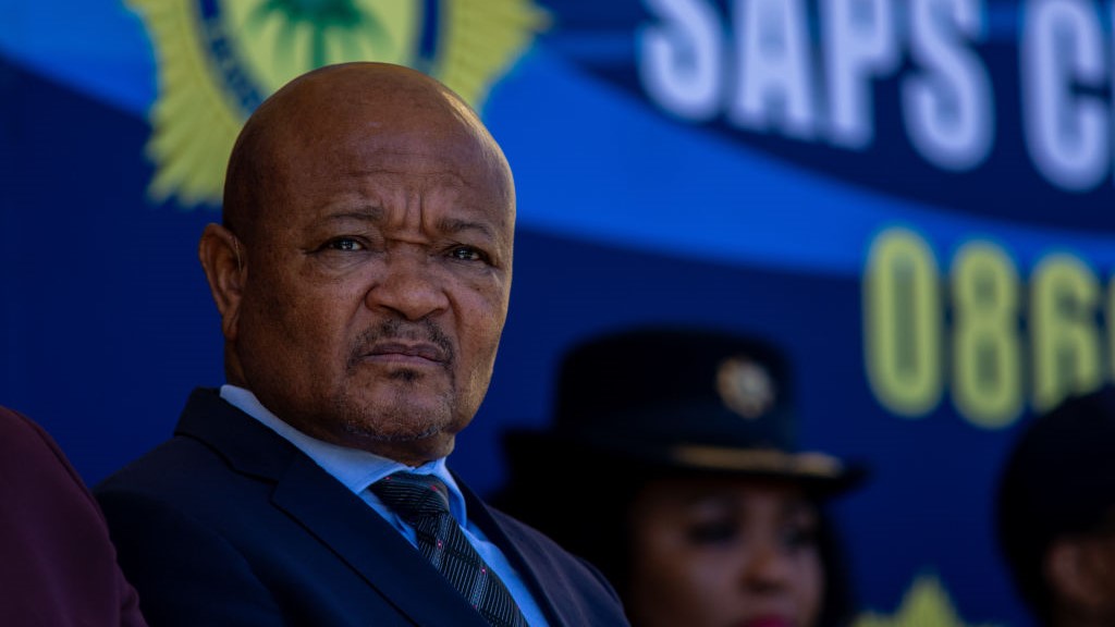 South Africa's Ramaphosa Suspends Police Minister Over Criminal Link Allegations