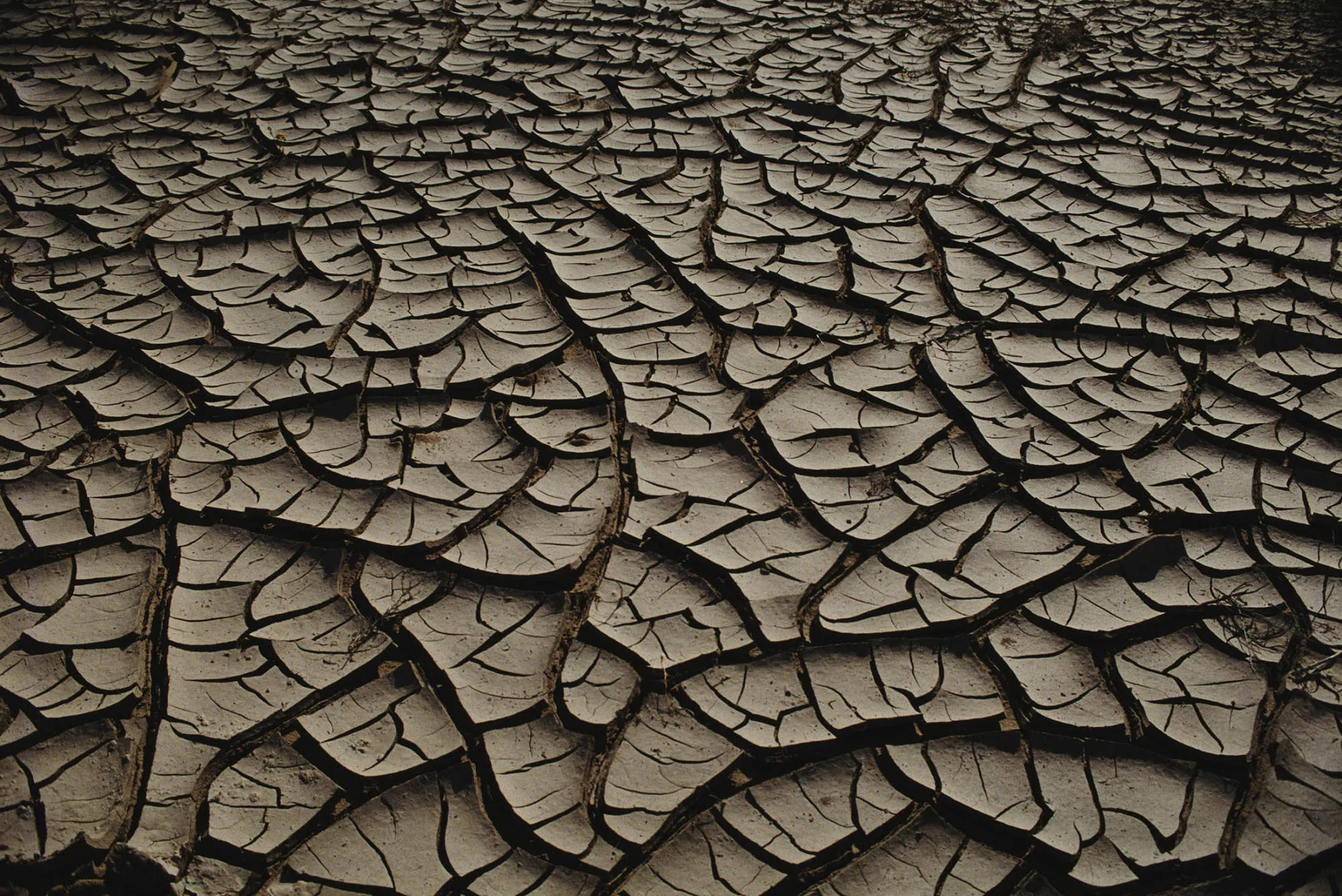 A dry lake bed in New Mexico, 1991.
